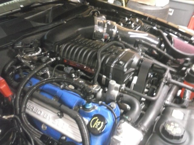 2014 Shelby GT 500 Mustang Whipple Supercharger Install By Crazy Ed