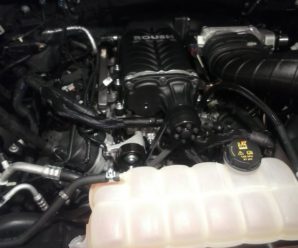 2015 Ford F-150 5.0 Coyote Roush Supercharger Install by Ed & Me