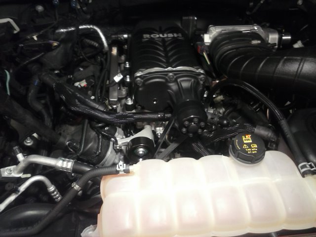 2015 Ford F-150 5.0 Coyote Roush Supercharger Install by Ed & Me